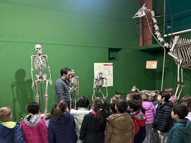 img 4518