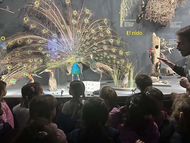 img 4526